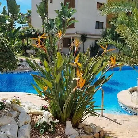 Punta Prima Nice Apartment With Sea Views Torrevieja Exterior photo